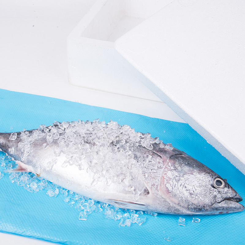 Gardez les aliments frais Tampon absorbant pour viande