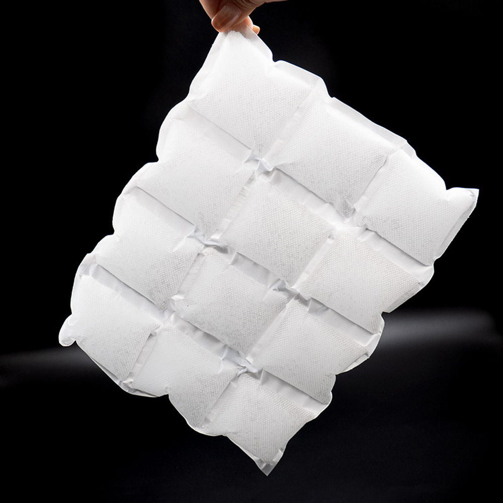 Pack de glace carbonique écologique double face pour la livraison